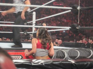 AJ Lee cheering on from the corner